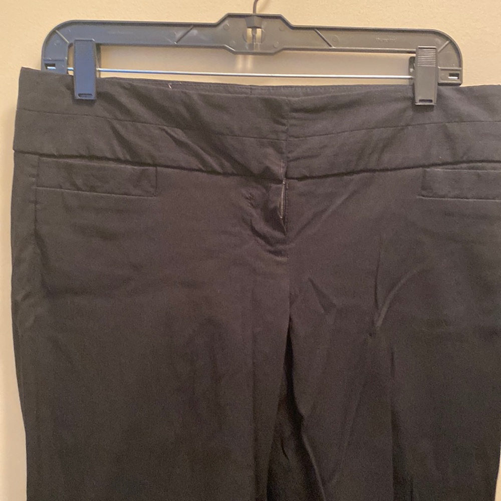 The Limited Exact Stretch boot cut pant. 6 short.